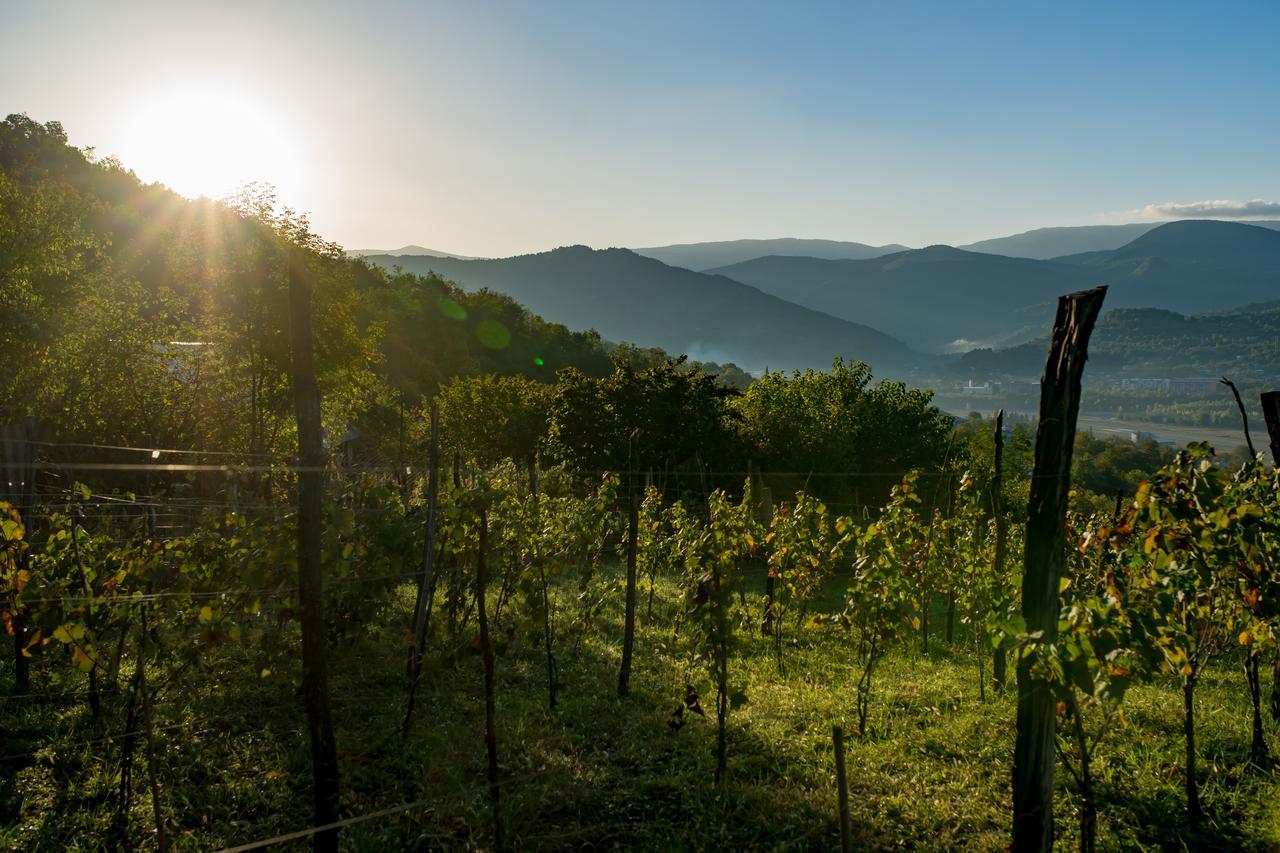 Chateau Dio Ambrolauri Esterno foto