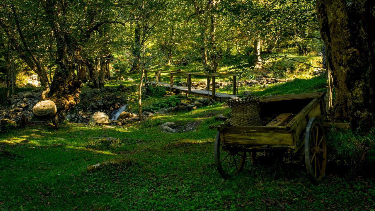 Chateau Dio Ambrolauri Esterno foto
