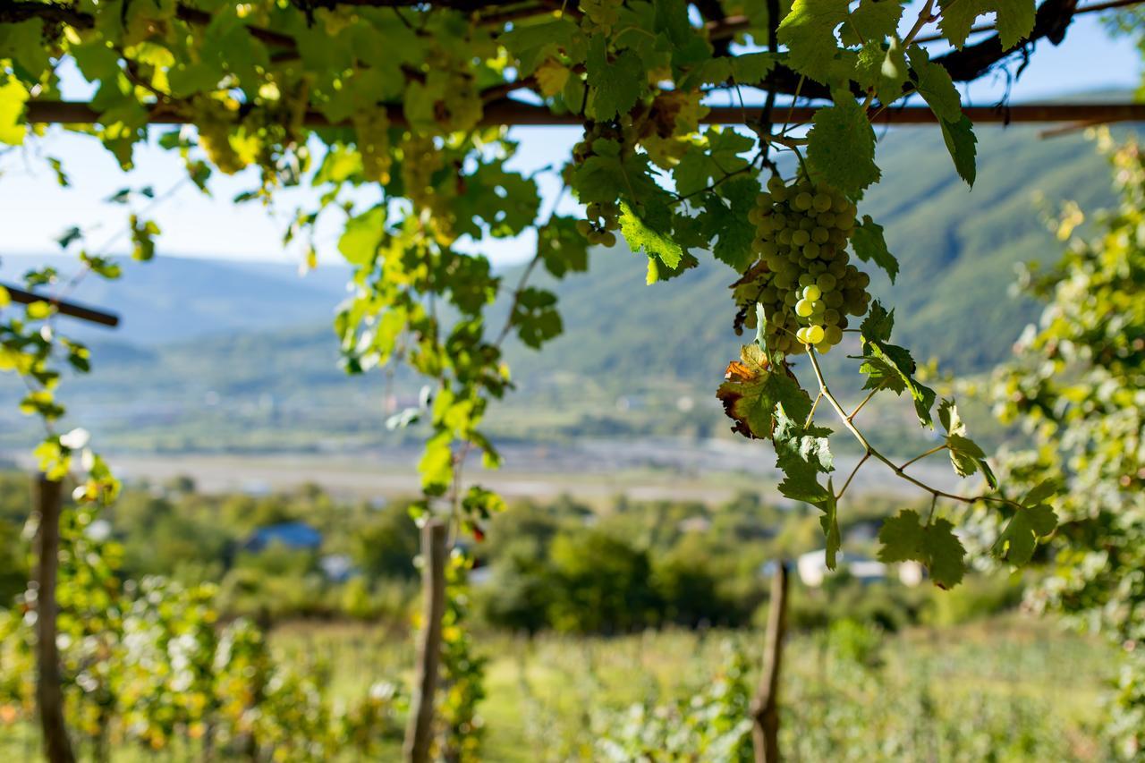 Chateau Dio Ambrolauri Esterno foto