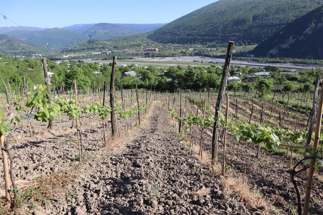 Chateau Dio Ambrolauri Esterno foto